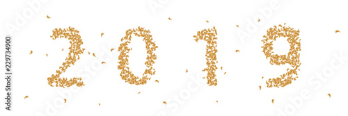 2019 written in confetti gold