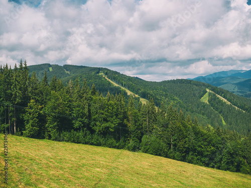 Summer mountain landscapes. Green meadows. High hills.