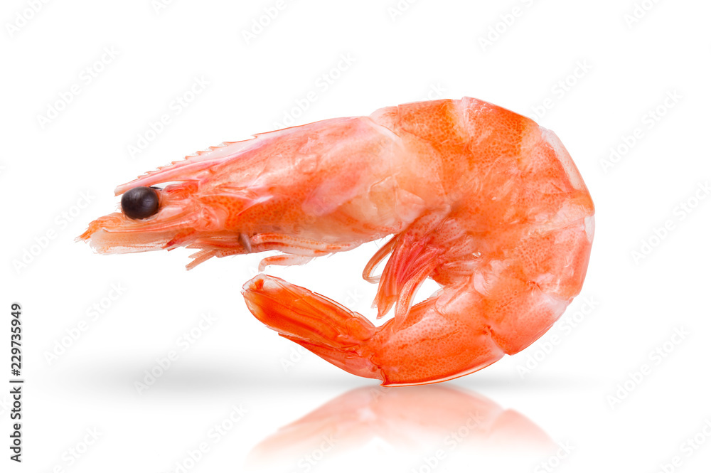 One tasty fresh red boiled cooked shrimp isolated on white background One tasty fresh red boiled cooked shrimp isolated on white background