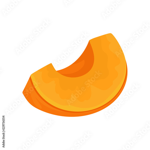 Slice of ripe pumpkin vector Illustration on a white background