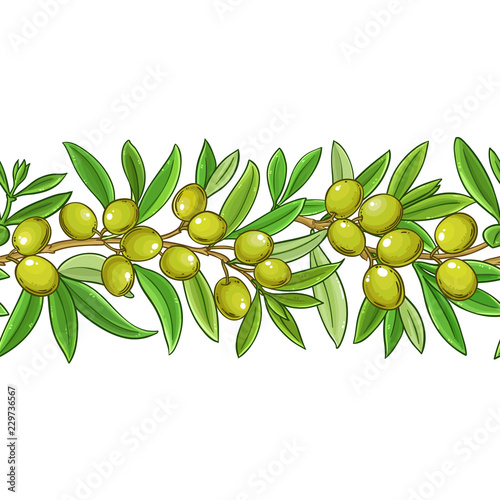 olive vector pattern