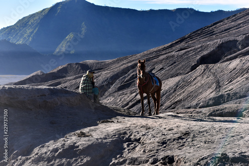 A horse with his rider used to carry tourists up the foot path to Mt Bromo, Java Island,Indonesia