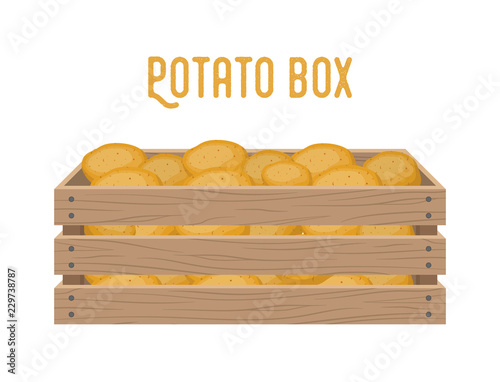 Vector box with potato, grocery basket with garden products