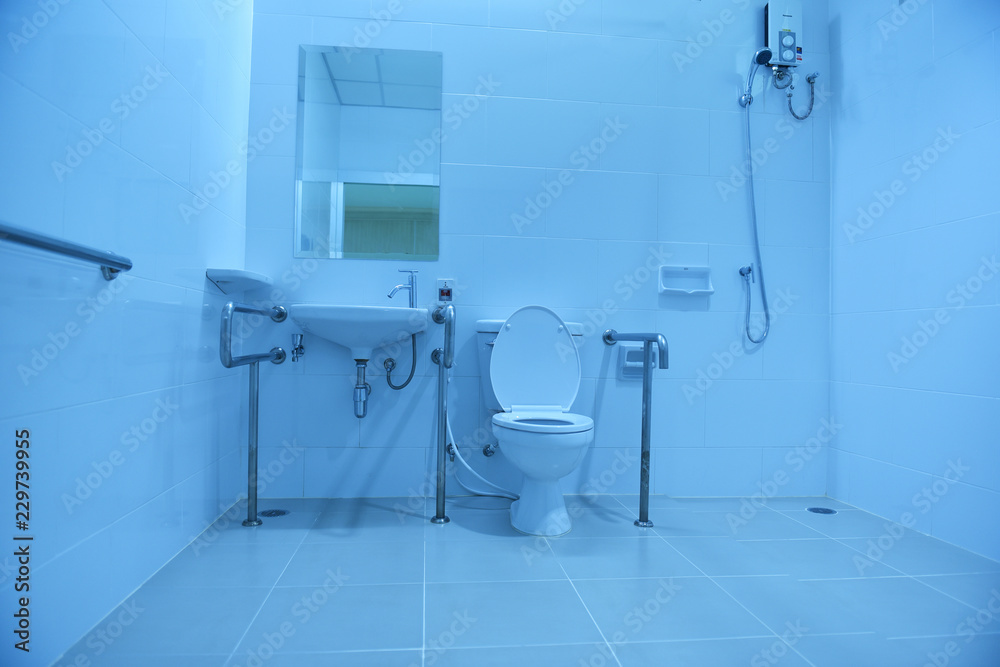 Accessible bathroom for the disabled or elderly. Disabled and elderly