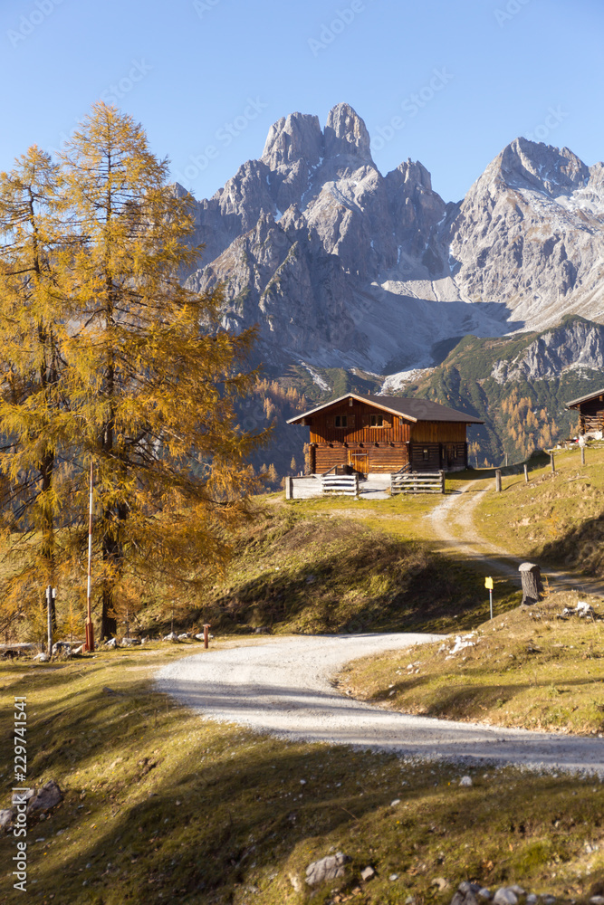 Autumn on an alpine meadow in Austrian Alps