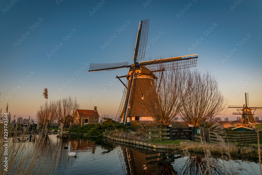 Dutch windmill near the river Rotte during the golden hour