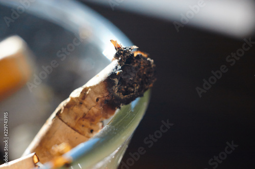 burnt cigarette butt in an ashtray lit by the sun photo