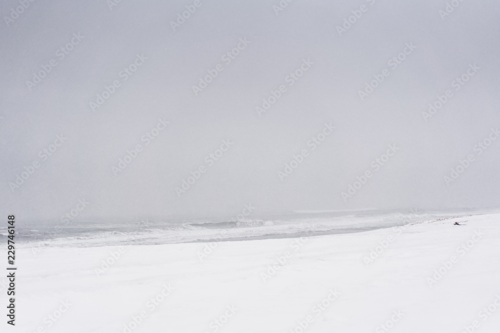 Blizzard on a beach of the Pacific ocean