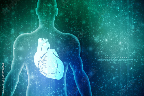 2d illustration Anatomy of Human Heart 