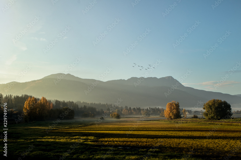 Fototapeta premium Beautiful early morning sunlight hits the vibrant fall trees, leaves, colors and distant mountain as a small flock of birds flies overhead.
