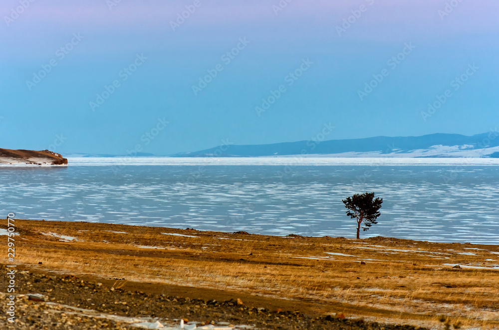 Fototapeta premium Lonely tree is staying near frozen lake and road with mountain background