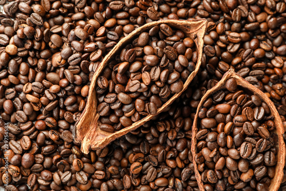 Fototapeta premium Halves of cocoa pod on roasted coffee beans