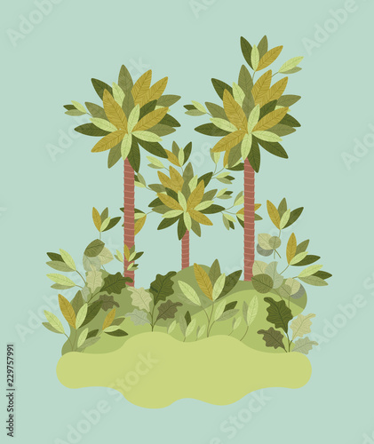 natural forest landscape scene