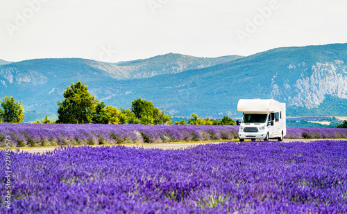 Fotografie Motorhome in a lavender field in Provence, France