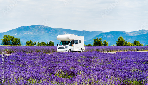 Quadro su tela Motorhome in a lavender field in Provence, France