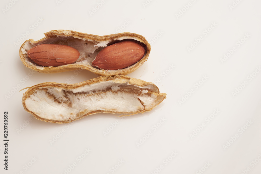Peanut on white background macro Peanut on white background macro