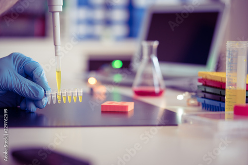 PCR strip in genetic laboratory