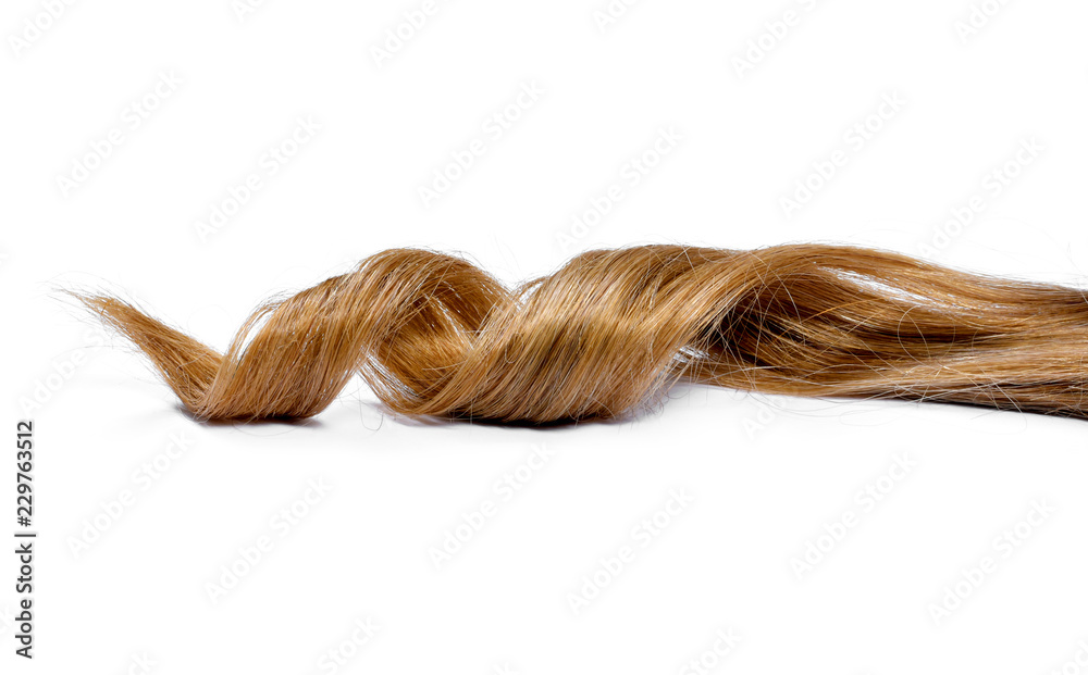 Beautiful brunette hair, isolated on white background. Long brown hair tail, curly and healthy hair, design element or hair cut theme. - obrazy, fototapety, plakaty 