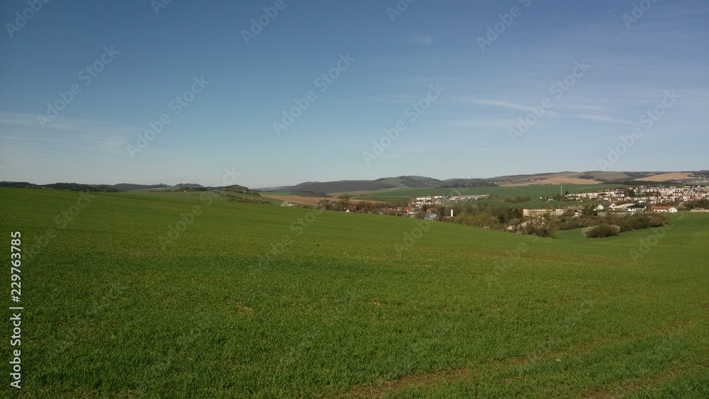 Fototapeta premium Meadow durring summer morning in West Slovakia