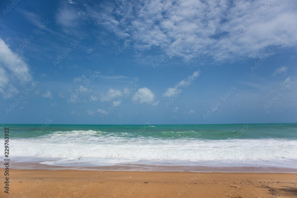 foamy wave splashing on sandy beach