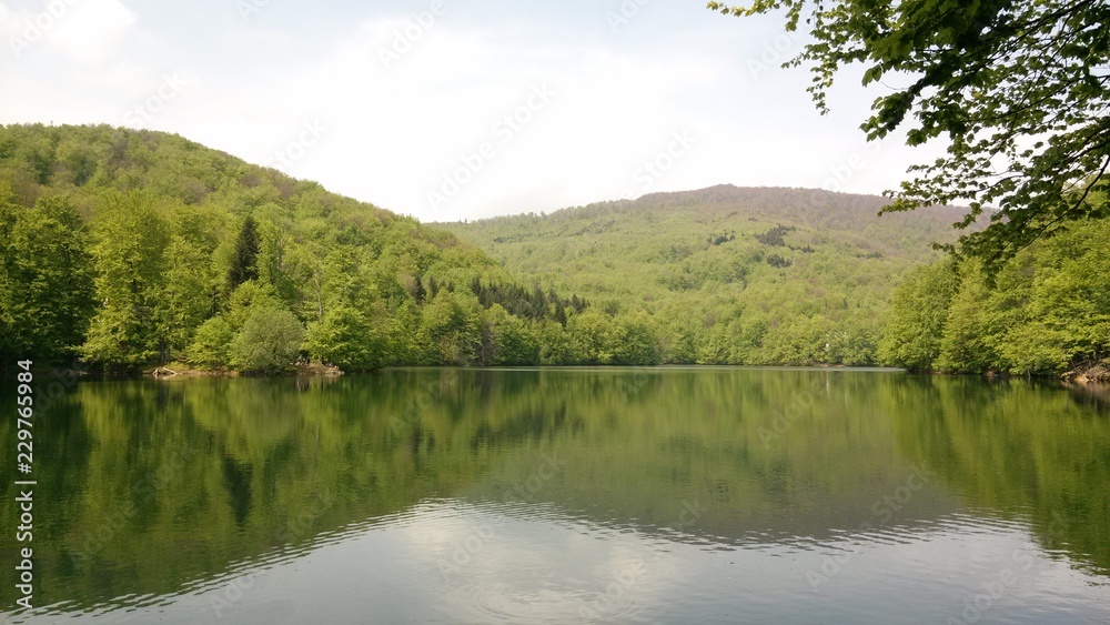 Little lake in the forest in East Slovakia Little lake in the forest in East Slovakia