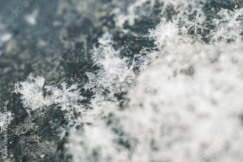 fragment of snow texture Snowflakes covered plan. white pure snow. macro photo. winter. shallow depth of field. Christmas background for layout. christmas theme