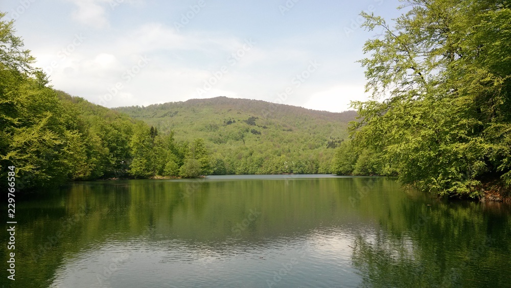 Little lake in the forest in East Slovakia