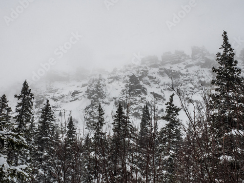 Winter snowy forest landscape high in the mountains. snowfall and poor visibility. bad weather conditions. ecotourism and active lifestyle in winter