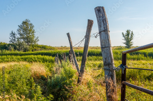 The old rickety barbed wire fence in the field