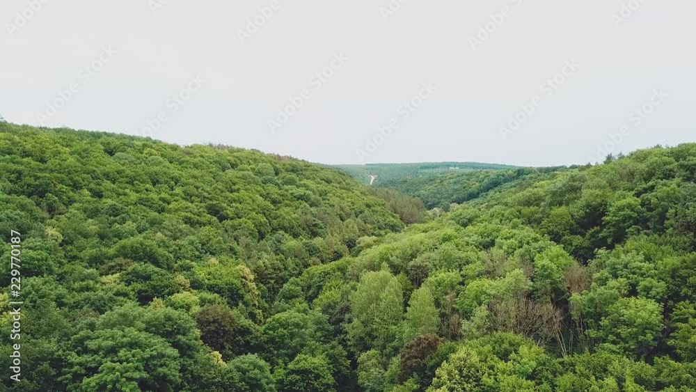 spectacular landscape of the green hills with forests and a river between them. Aerial view. Camera motion forward spectacular landscape of the green hills with forests and a river between them. Aerial view. Camera motion forward