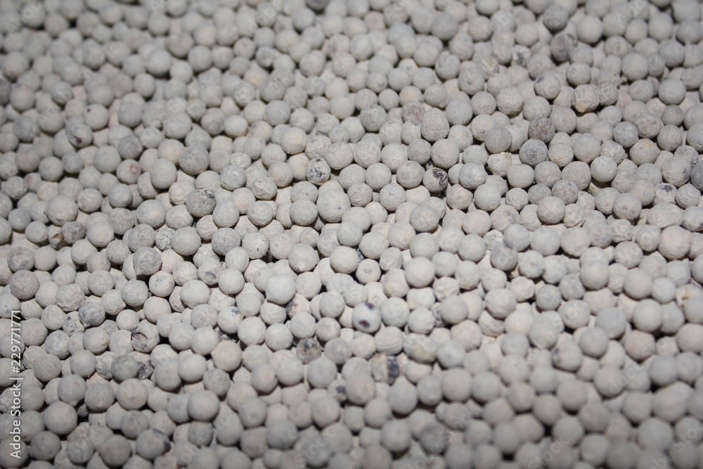 white peppercorn white peppercorn