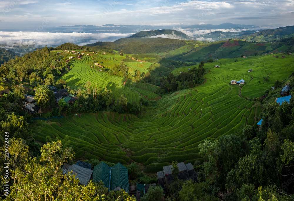 Aerial top view photo from flying drone of the Buddhist temple and fields in the countryside of Chiang Mai Northern Thailand