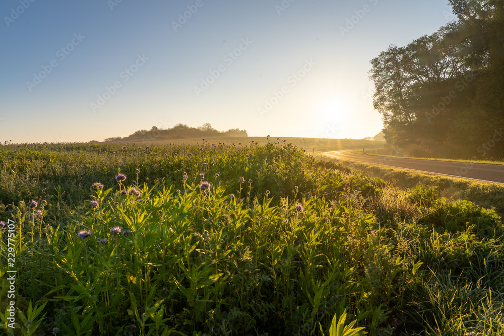 Obraz premium Herbstlicher Sonnenaufgang in der Eifel