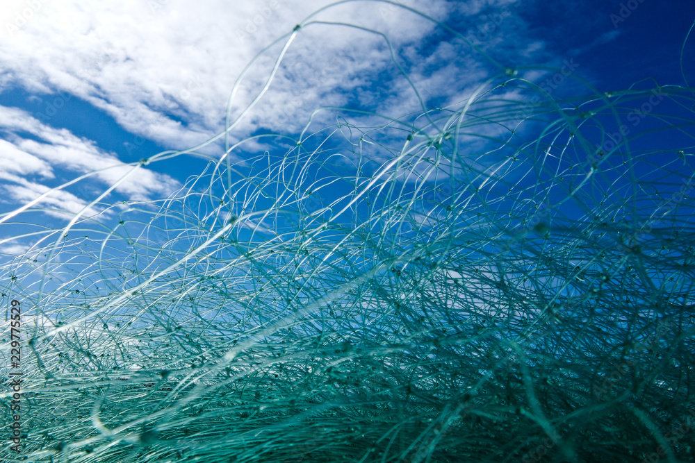 Fototapeta premium pêche filet poisson pêcher port marin pêcheur prise attraper nylon bretagne crustacé maille