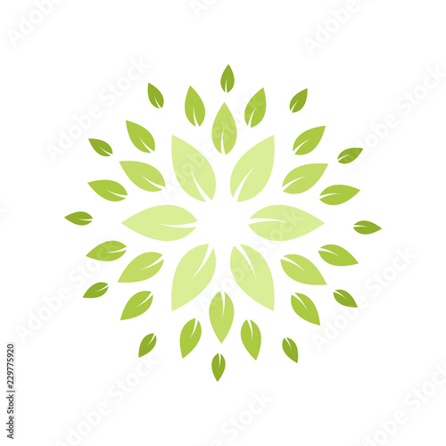Round Pattern Green Leaves Nature Circle Shape Decoration Element Design Vector