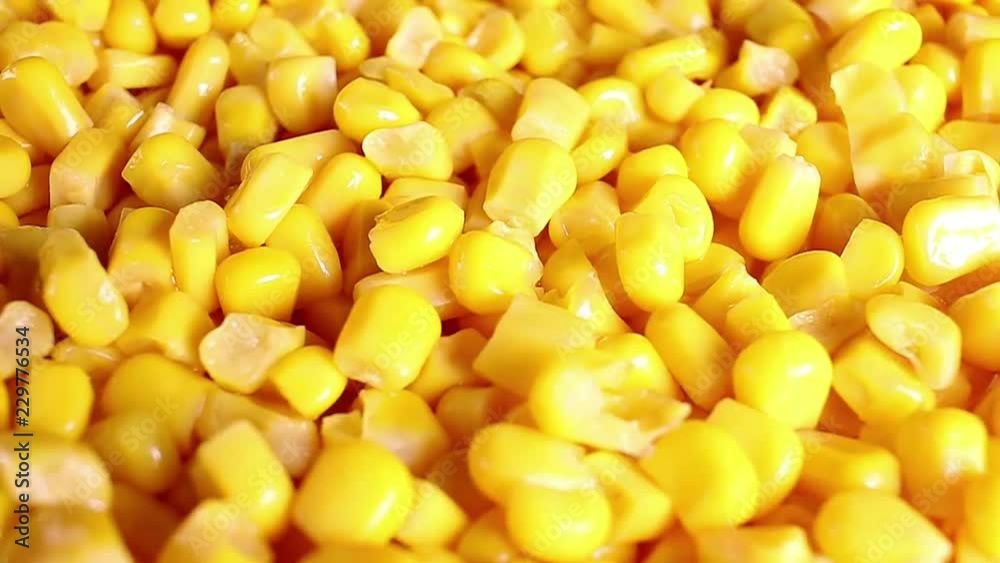 Yellow corn grain grains rotating texture pattern closeup footage Yellow corn grain grains rotating texture pattern closeup footage