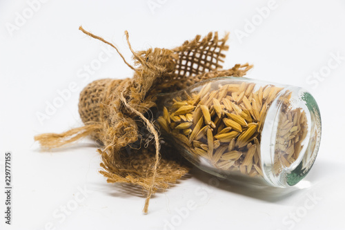 Grain seeds in Bottle isolated on white background, Grain seeds in thailand.