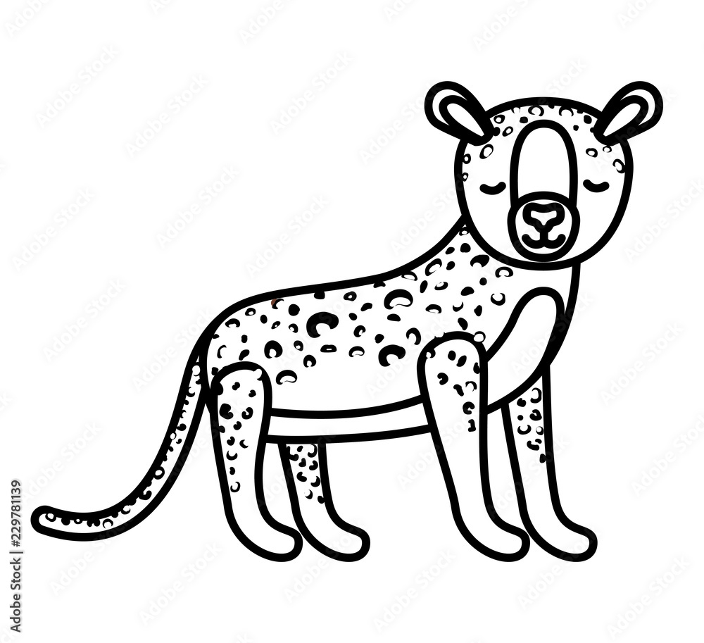 Obraz premium wild cheetah animal isolated