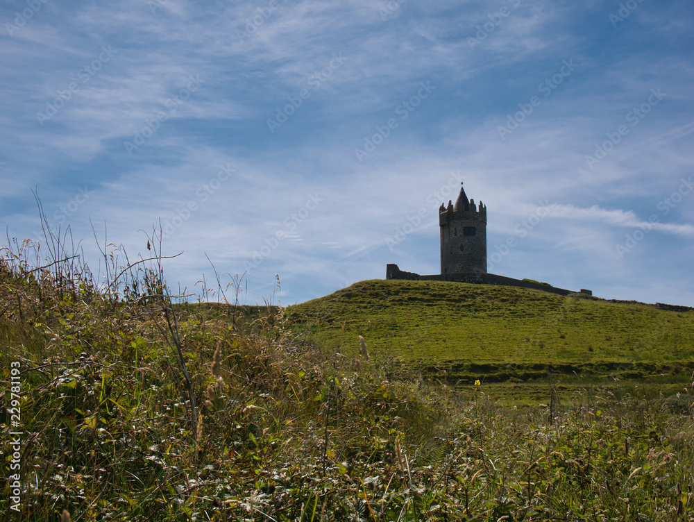 Wiese mit dem Turm vom Schloss Doonagore in Irland