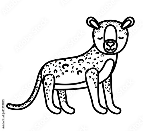 wild cheetah animal isolated