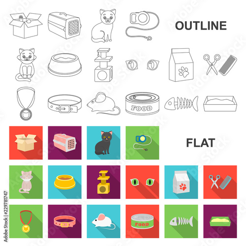 An animal cat flat icons in set collection for design. Caring for a cat vector symbol stock web illustration.