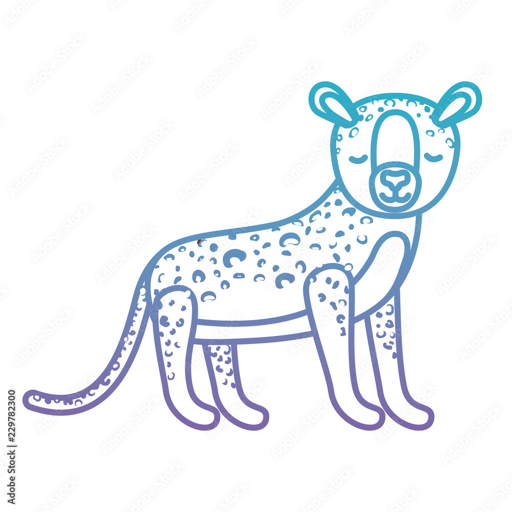 wild cheetah animal isolated
