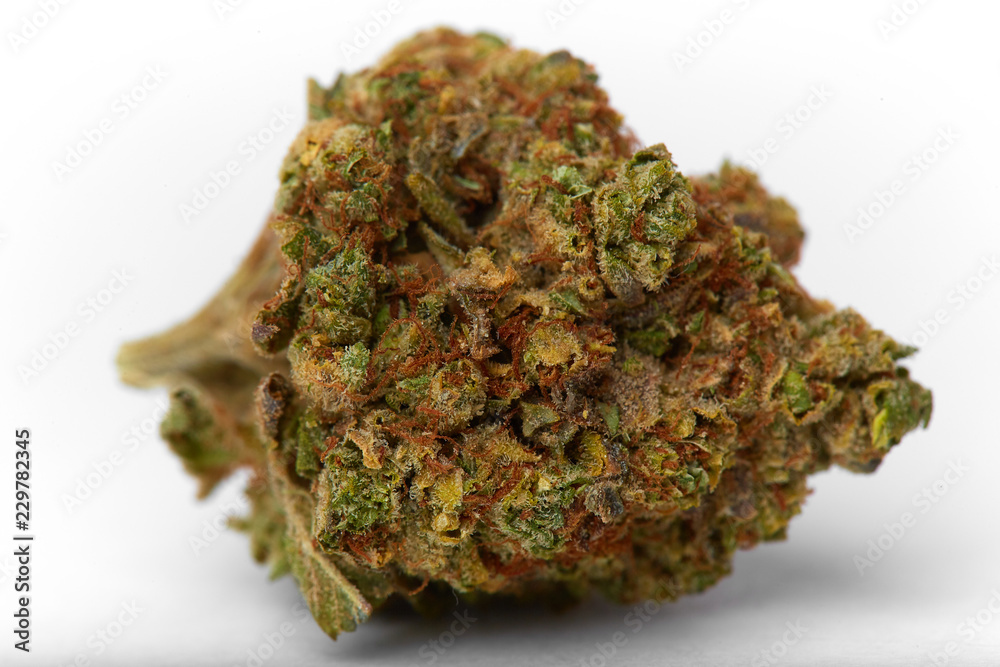 Close up of yumbolt strain hybrid indica dominant medical marijuana and recreational marijuana flower bud isolated in white background