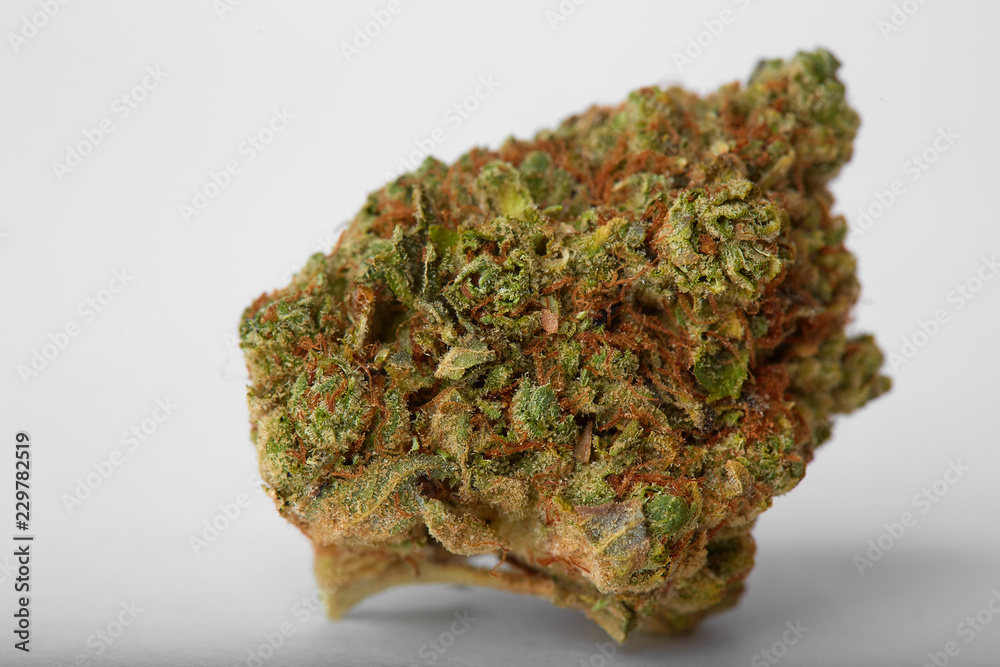 Close up of yumbolt strain hybrid indica dominant medical marijuana and recreational marijuana flower bud isolated in white background Close up of yumbolt strain hybrid indica dominant medical marijuana and recreational marijuana flower bud isolated in white background