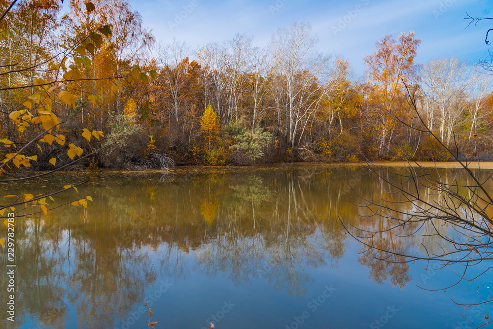 Beautiful autumn landscape - trees reflected in the water of a forest lake Beautiful autumn landscape - trees reflected in the water of a forest lake
