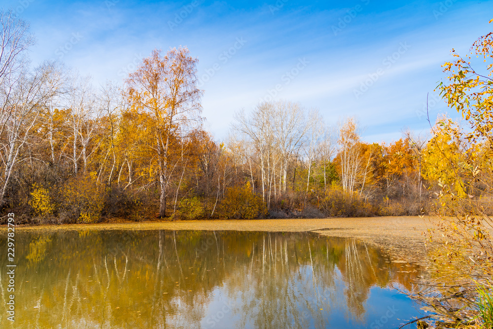Beautiful autumn landscape - trees reflected in the water of a forest lake Beautiful autumn landscape - trees reflected in the water of a forest lake