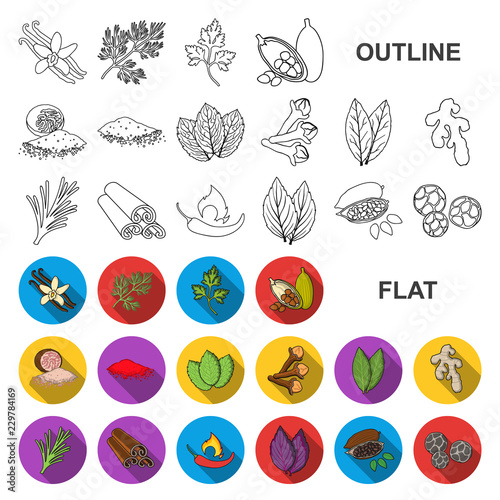 Herb and spices flat icons in set collection for design.Different kinds of seasonings vector symbol stock web illustration.