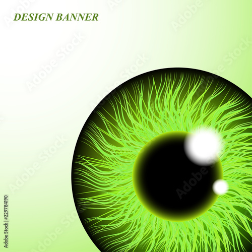 Iris of the human eye. Isolated on light background.