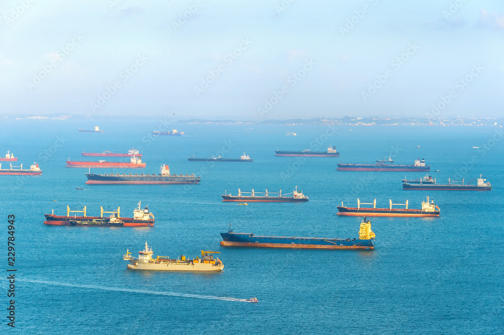 Fototapeta premium Industrial cargo shipping Singapore harbor