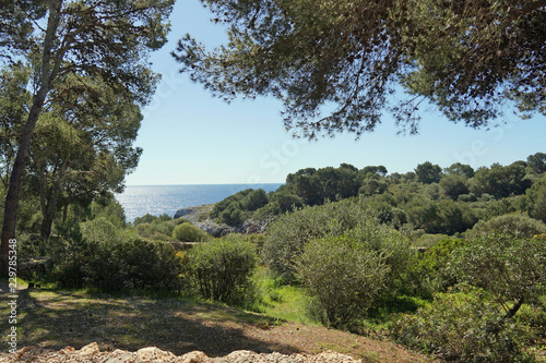 Spanien, Mittelmeer, Mallorca, Strand, Panorama, Küste, Steilküste, Klippen, Berge, Meer